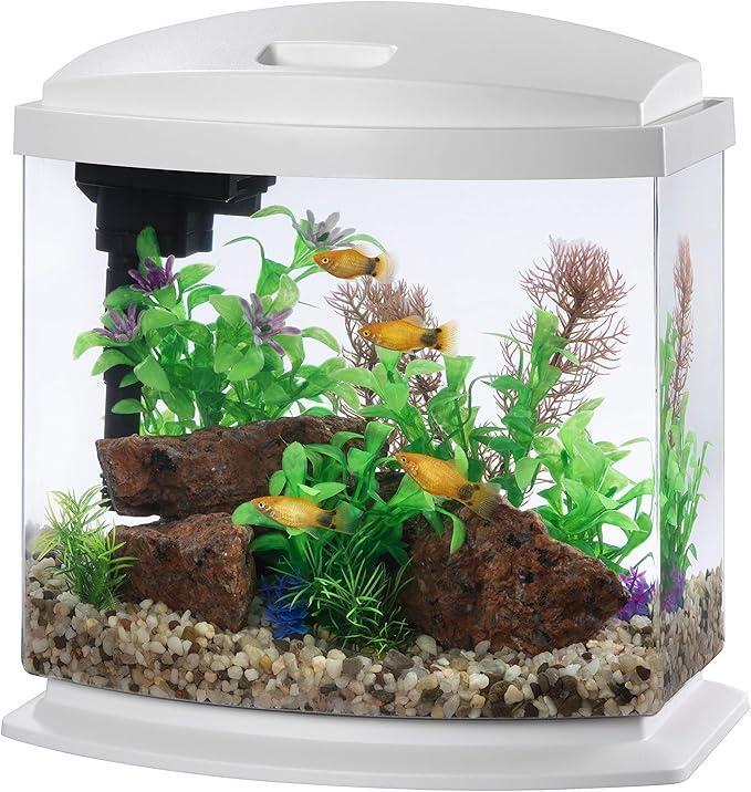 Aqueon LED MiniBow Aquarium Kit with SmartClean Technology, White, 2.5 Gallon-PawvioPets