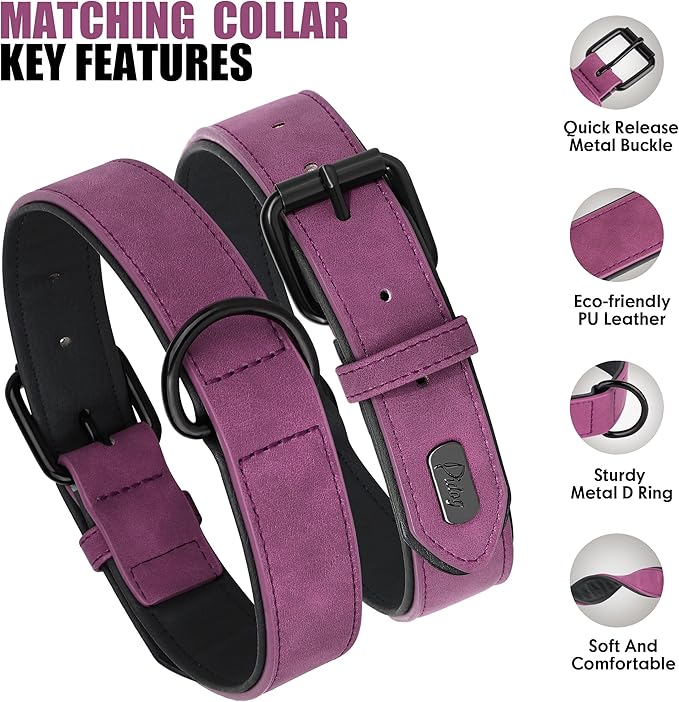 Didog Soft Padded Leather Dog Collar and Leash Set, Heavy Duty Dog Leash and Collar Set with Metal Buckle, Breathable Dog Collars with 4FT Leather Dog Leash for Small Medium Large Dogs, Purple, M-PawvioPets