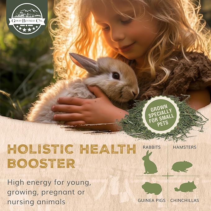 5lb Freshly Dried Organic Alfalfa Hay for Guinea Pigs, Rabbits, Chinchillas, Goats, Hamsters & Ferrets, Small Animal Food Rich in Protein & Fiber, Hand-Selected, Hand Sorted, USA Grown-PawvioPets