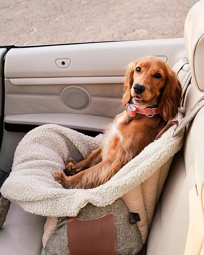 Dog Travel Bag | Cat Carrier | Small Pet Taxi | Lightweight Soft-Sided Tote, Car-Seat Compatible, Washable, 6–20 lb | Vegan Materials | Brown-PawvioPets