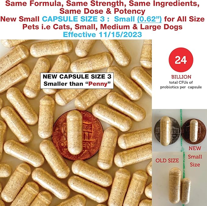 Azovast Plus Kidney Health Supplement for Dogs & Cats, 240ct - NO Refrigeration Required - Help Support Kidney Function & Manage Renal Toxins - Renal Care Supplement Capsule(U.S.A) (240 Caps)-PawvioPets