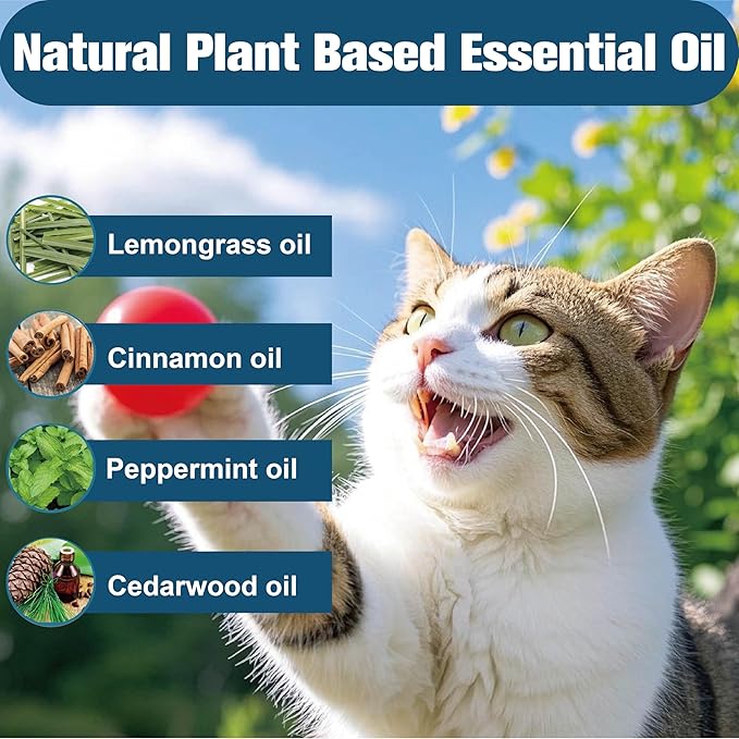 Flea Collar for Cats, Flea and Tick Collars for Kittens, Flea & Tick Treatment Prevention, Natural Essential Oil, 2 Pack, 16 Months Protection, One Size Fits All, Waterproof-PawvioPets