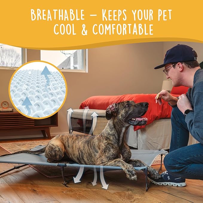 Daisy Cot, XL Foldable Elevated Dog Bed, Portable Raised Outdoor Folding Dog Cots, Cooling, Chew Proof, Waterproof, Heavy Duty Up to 160 lbs for Camping/Home, Grey, 49"x 33"x7"-PawvioPets