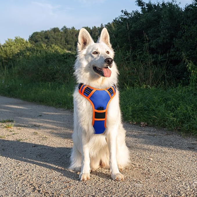 Eagloo Dog Harness for Large Dogs, No Pull Service Vest with Reflective Strips and Control Handle, Adjustable and Comfortable for Walking, No Choke Pet Harness with 2 Metal Rings, Blue & Orange, XL-PawvioPets