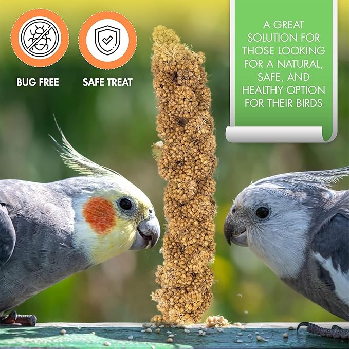 5LBS GMO-Free Sun Dried Spray Millet - Original Bird Treat Millet for Parakeets, Cockatiels, Finches & More - Non-GMO, High in Amino Acids, Easy Storage, Tasty & Healthy Bird Snacks (5 lbs)-PawvioPets