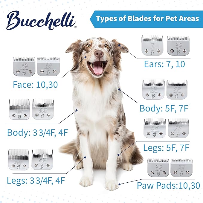 Detachable A Series 3/4 Blade Dog Grooming Cut Length 3/4" - 19mm Ideal for Large Trimming Areas Japanese Carbonized Steel Dog 19mm Replacement Blades | Compatible A5 Series(34HT)-PawvioPets