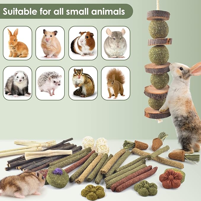 ERKOON Bunny Toys Boredom, 42 PCS Bunnies Timothy Hay Sticks Carrots Rose Grass Cake Dental Care, Molar, Chinchillas Toy Chew Toy, Guinea Pigs, Hamsters, Chinchilla, Rabbit Chew Toys for Teeth-PawvioPets