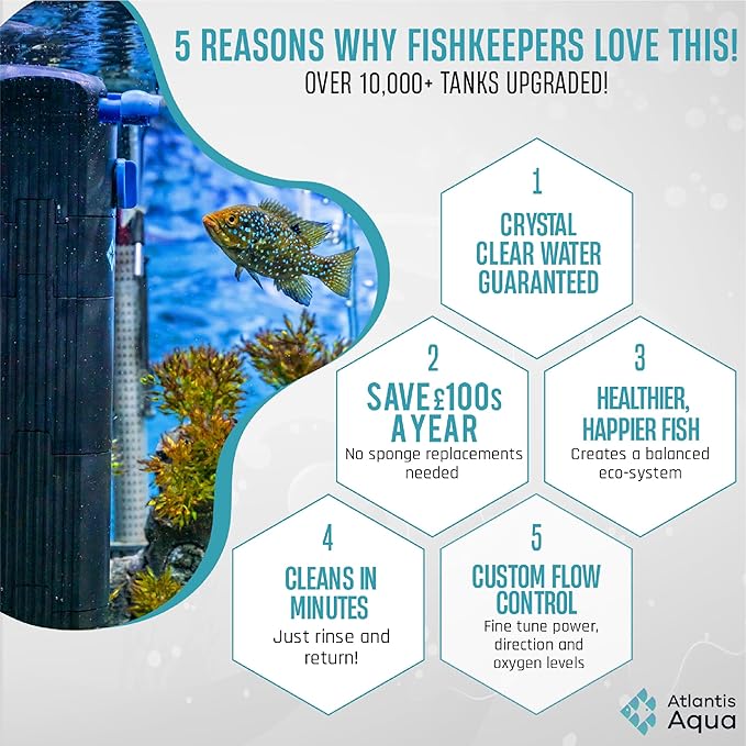 20 Gallon Fish Tank Filter up to 55 Gallons | Quiet Fish Tank Filter | Crystal Clear Water | Turtle Tank Filter | Submersible Aquarium Filter, Filter for Fish Tank, 50 Gallon Fish Tank Filter-PawvioPets