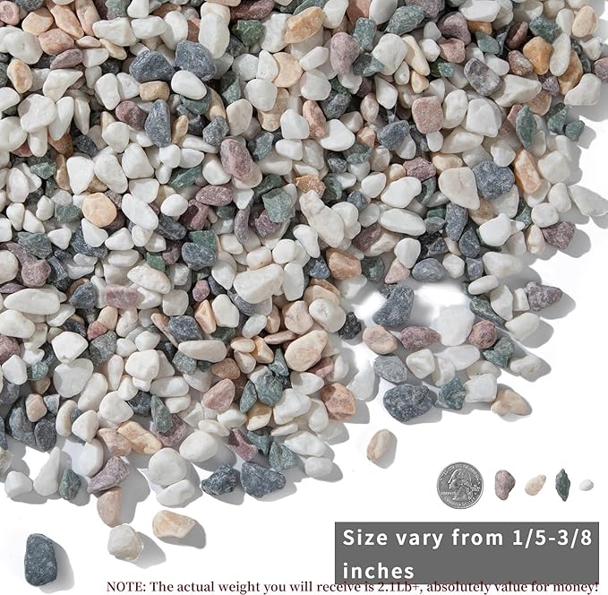 2lb Succulent and Cactus Gravel Pebbles 1/5-3/8 Inch Natural Decorative Polished Stones River Rocks for Plants, Vases, Aquariums, Terrarium and Outdoor Gardening, Mixed Color-PawvioPets