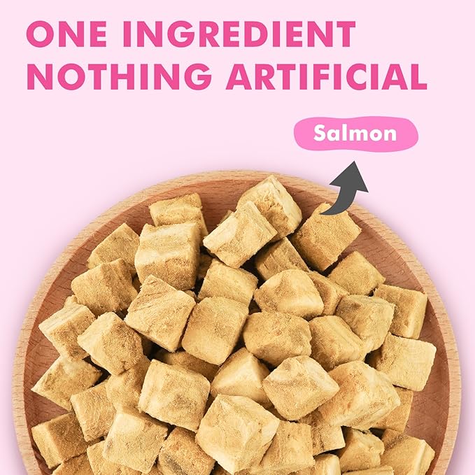 Freeze Dried Cats & Dogs Raw Treats, All Natural Single Ingredient Salmon, High Protein Healthy Pet Training Treats or Food Topper, 3.5 oz-PawvioPets