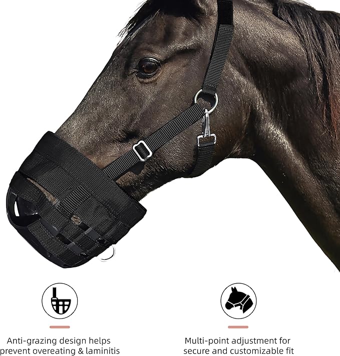 BARN & STABLE Horse Grazing Muzzle Halter for Easy Breathe, Comfortable Professional Horse Muzzle Grazing with Adjustable Straps, Velcro and Buckles, Suitable for Precaution of Laminitis-PawvioPets