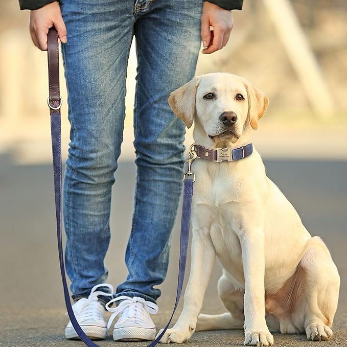 Didog Soft PU Leather Dog Collar for Large Dogs,Classic Adjustable Dog Collars with Quick Release Metal Buckle,Easy Clean and Comfortable with Nylon Lining,Blue,L Neck 15-23"-PawvioPets