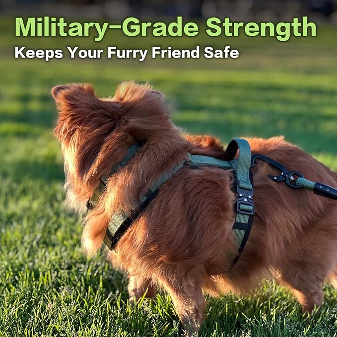 CLEPAWS Dog Harness for Medium Dogs, No Pull Dog Harness Easy Walk with Metal Hardware, Ergonomic Y-Shaped Design, Soft Padding, Padded Handle, Durable High-Tensile Nylon (Evergreen, M)-PawvioPets