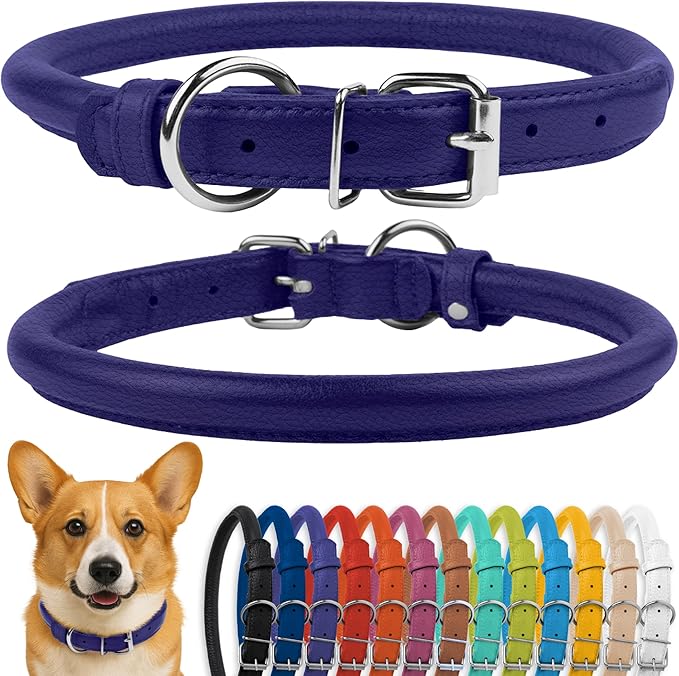 CollarDirect Rolled Leather Dog Collar, Soft Padded Round Puppy Collar, Handmade Genuine Leather Collar Dog Small Large Cat Collars 13 Colors (13-16 Inch, Purple Textured)-PawvioPets