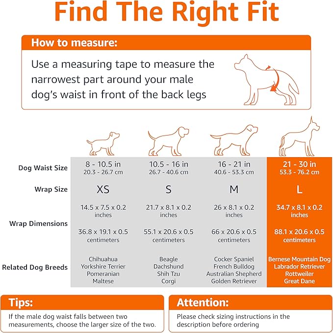 Amazon Basics Male Dog Diapers, 30 Count, Large, Ultra Absorbent Disposable Wrap with Secure Fit, Leakproof and Comfortable-PawvioPets