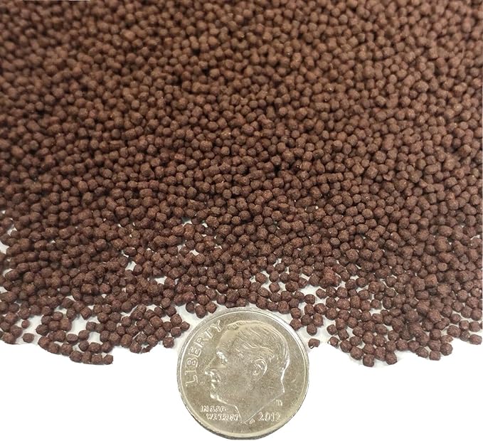 Aquatic Foods Inc. Blackworm Micro .8mm Floating Pellets with Color Enhancers & Vitamins for Discus, Guppies, Tetras, Live Bearers, Baby Cichlids, Baby Koi, All Tropical and Pond Fish...8oz Jar-PawvioPets
