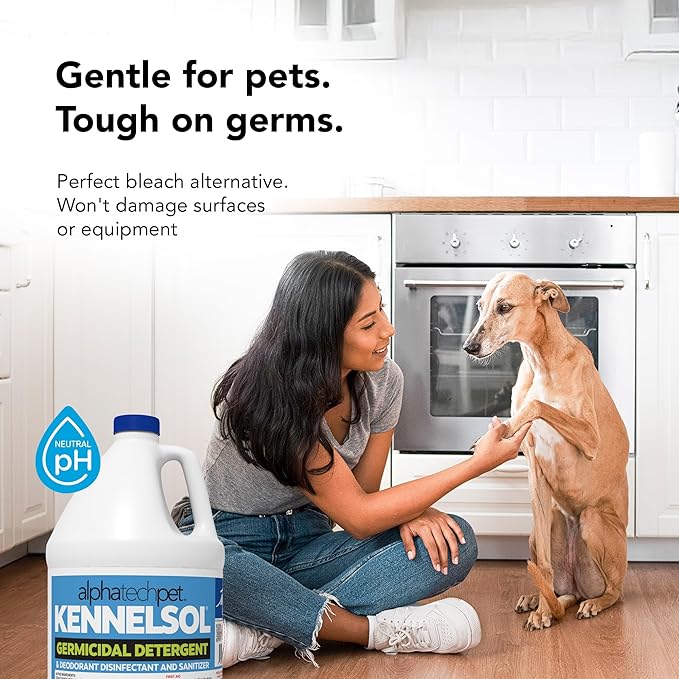 ATP KennelSol 1-Step Kennel Cleaner - 1 Gallon (Pack of 4) Liquid Disinfectant, Effective Against Bacteria and Viruses, Deodorizer Wintergreen Scent by Alpha Tech Pet-PawvioPets
