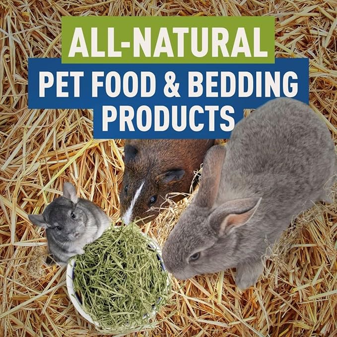 Blue Mountain Hay | Organic Bedding Straw (25 lb) | Natural Pet Bedding & Insulation for Rabbits, Guinea Pigs, Goats, Chickens, Stray & Feral Cats, and Small Animal Shelters-PawvioPets