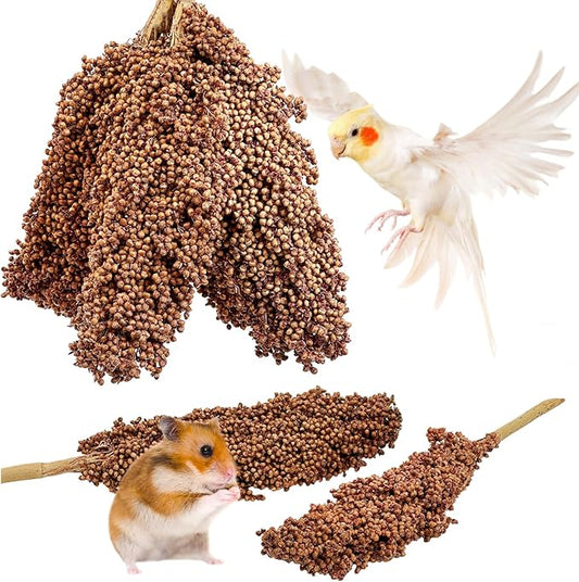 Fhiny Millet Spray for Birds, 6 PCS Natural Sun-Dried Red Sorghum Grain for Birds Seed Original Parrot Treats & Supplement Parakeet Food for Cockatiels Lovebirds Finches Budgies Pigeons Hamsters-PawvioPets