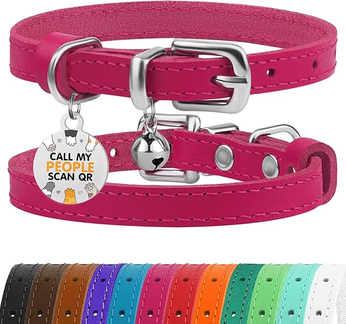 BRONZEDOG Leather Cat Collar with Removable Bells Non Breakaway Kitten QR Tag for Girl Boy (7" - 9" for Cats, Pink & Silver)-PawvioPets