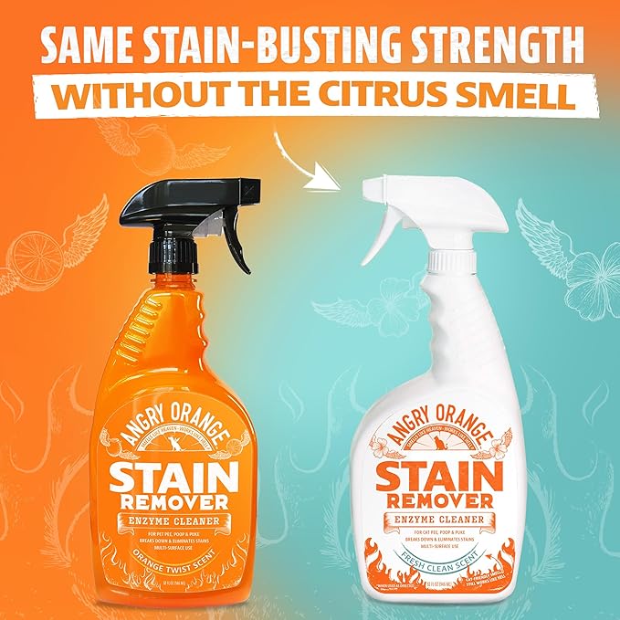 ANGRY ORANGE Cat Urine Odor Eliminator & Stain Remover, Pet-Friendly Deodorizer-PawvioPets