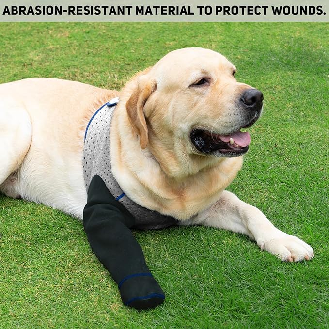 COODEO Dog Socks to Prevent Licking Paws, Healing Boots & Paw Protectors with Non-Slip Bottoms for Wound Protection, Waterproof Sleeve Shoes for Licking（Grey，M_Right-PawvioPets