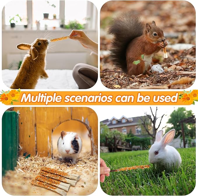 Apple Sticks for Rabbits, Natural Bunny Chew Toys Wood Treats Food for Small Animals,Hamsters, Chinchillas Squirrel Bunny Guinea Pigs Small Pet Apple Chew Sticks-PawvioPets