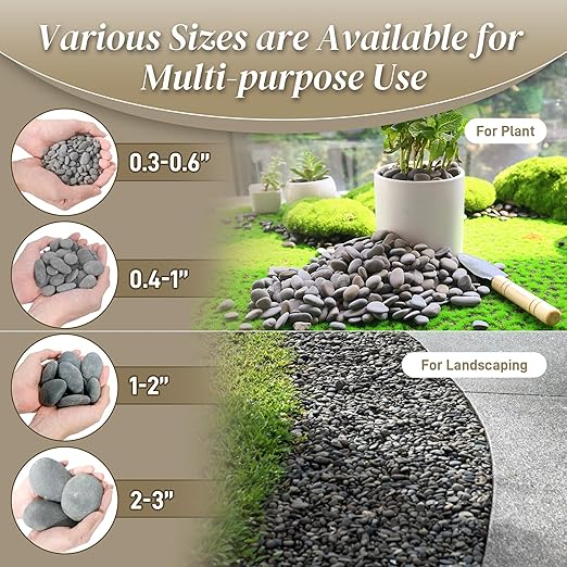 5 lbs Mexican Beach Pebbles, 0.4-1 Inch Natural River Rocks for Indoor Plants Vase Fish Tank Aquarium Fountain, Decorative Stone for Landscaping Garden Paving Walkways Backyard, Grey-PawvioPets