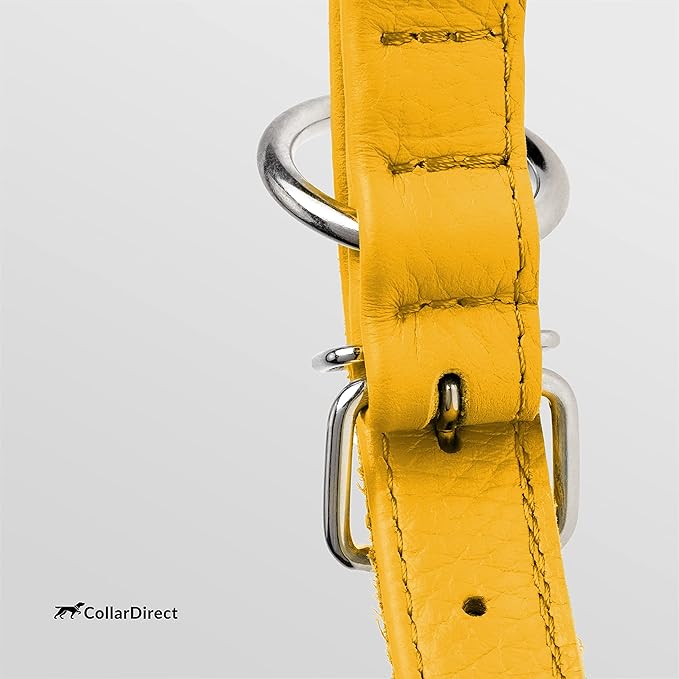 CollarDirect Rolled Leather Dog Collar, Soft Padded Round Puppy Collar, Handmade Genuine Leather Collar Dog Small Large Cat Collars 13 Colors (8-11 Inch, Yellow Textured)-PawvioPets