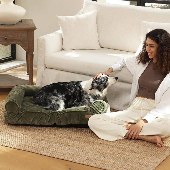 FUKUMARU Cute Dog Bed, Fluffy Dogs Couch with TPU Layer Keeping Lining Dry, Pet Sofa Medium Size Dog Easy to Care, Warm Cat Bed with Removable Zipper Cover, 36inch, Large, Green-PawvioPets