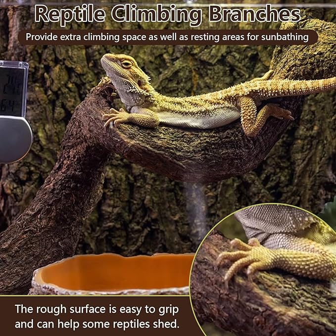 BNOSDM 3Pcs Reptile Climbing Branches Decor,Snake Climbing Branch,Gecko Climb Wood,Lizard Forest Branch,Tank Habitat Tree Trunk Decorations for Bearded Dragons,Chameleons,Spider,Frogs (M)-PawvioPets