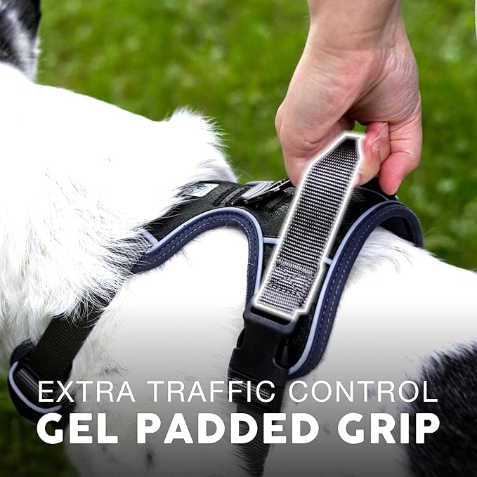 Embark Adventure Dog Harness, No-Pull Reflective Trim Dog Harness for Small, Medium & Large Dogs - Military Grade Nylon, 2 Leash Clips & Gel Lined Handle. Soft & Padded Puppy Dog Vest for Any Breed-PawvioPets