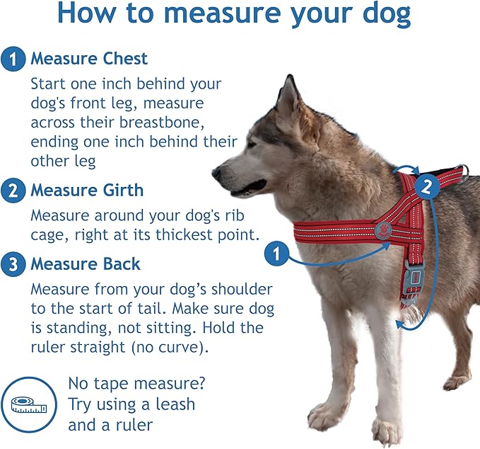DOCO No-Pull Dog Harness Halter Reflective Easy-Control Harness for Training, Walking, and Preventing Pulling, Ideal for X-Large Dogs(Turquoise)-PawvioPets