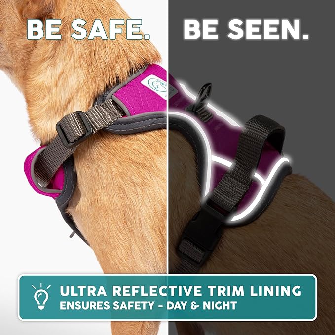 Embark Adventure Dog Harness, Reflective Trim No Pull Dog Harness for Large Dogs - Military Grade Nylon, Front Clip with Gel Lined Handle.-PawvioPets