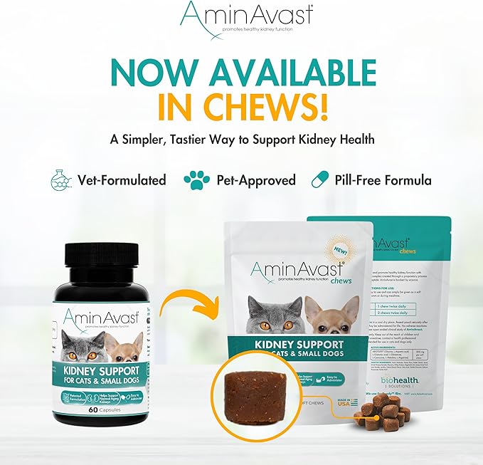 AminAvast Small Dogs & Cat Kidney Support - Promotes Healthy Kidney Support in Cats & Small Dogs - 300mg, 60 Capsule-PawvioPets