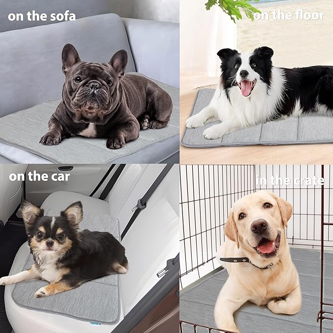 Dog Cooling Mat for Medium Dogs - 30x20 Orthopedic Memory Foam Pet Pad for Summer, QMAX>0.5, Washable Premium Comfort Crate Pad for Your Furry Companion, Grey-PawvioPets