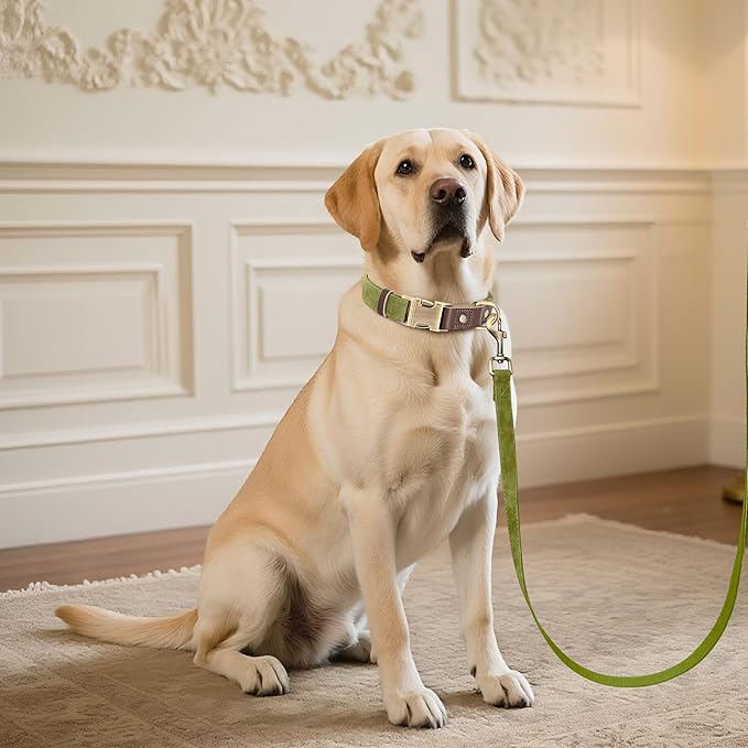 Didog Soft PU Leather Dog Collar for Large Dogs,Classic Adjustable Dog Collars with Quick Release Metal Buckle,Easy Clean and Comfortable with Nylon Lining,Olive Green,L Neck 15-23"-PawvioPets