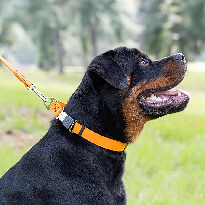 Dogline Biothane Waterproof Dog Collar with Herm Sprenger Stainless Steel Quick Release Buckle – Heavy Duty Tactical Durable Collar for Dogs – Comfortable and Safe Pet Collar W 3/4" L 12-19" Tangerine-PawvioPets