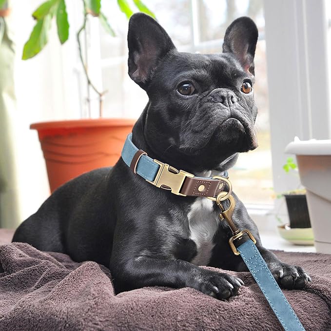 Didog Soft PU Leather Dog Collars for Medium Dogs,Classic Adjustable Dog Collars with Quick Release Metal Buckle,Easy Clean and Comfortable with Nylon Lining,Denim Blue,M Neck 13-19"-PawvioPets