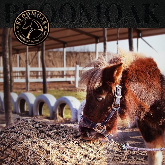 Bloomoak Slow Hay Net Feeder for Horses, Durable Soft Black PE 2/3 String Hay Bales Bags, Fit 36x18x18 to 47x25x17 Inches, Extends 50-64 Inches (3 1.6" Hole/1PC)-PawvioPets