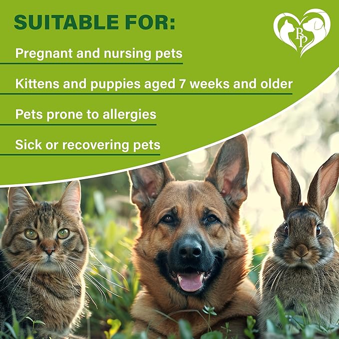 Flea and Tick Prevention for Small Dogs & Cats, Rabbits - Natural Flea Treatment & Pest Control - Topical Flea & Mosquito Repellent for Puppy and Kitten - All Pets-PawvioPets