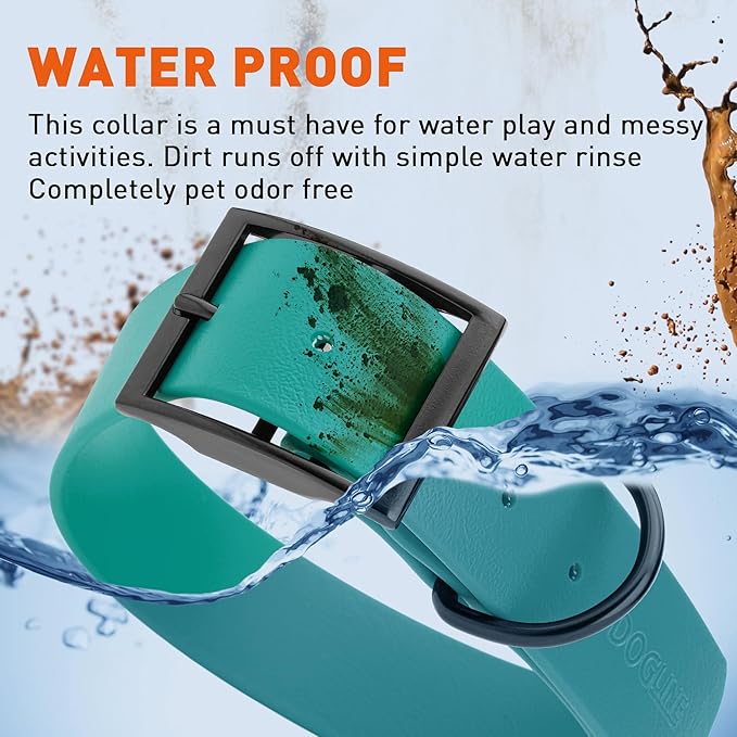 Dogline Biothane Waterproof Dog Collar Strong Coated Nylon Webbing with Black Hardware Odor- Proof for Easy Care Easy to Clean High Performance Fits Small Medium or Large Dogs, Blue Aqua-PawvioPets