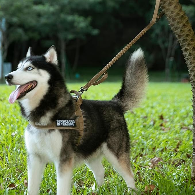 EXCELLENT ELITE SPANKER Tactical Bungee Dog Leash Military Adjustable Dog Leash Quick Release Elastic Leads Rope with 2 Control Handle(Black-PawvioPets