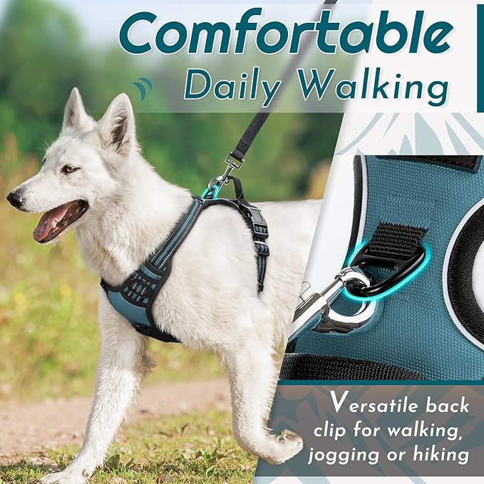 Eagloo Dog Harness Small Sized Dog, No Pull Service Vest with Reflective Strips and Control Handle, Adjustable and Comfortable for Easy Walking, No Choke Pet Harness with 2 Metal Rings, Dark Green, S-PawvioPets