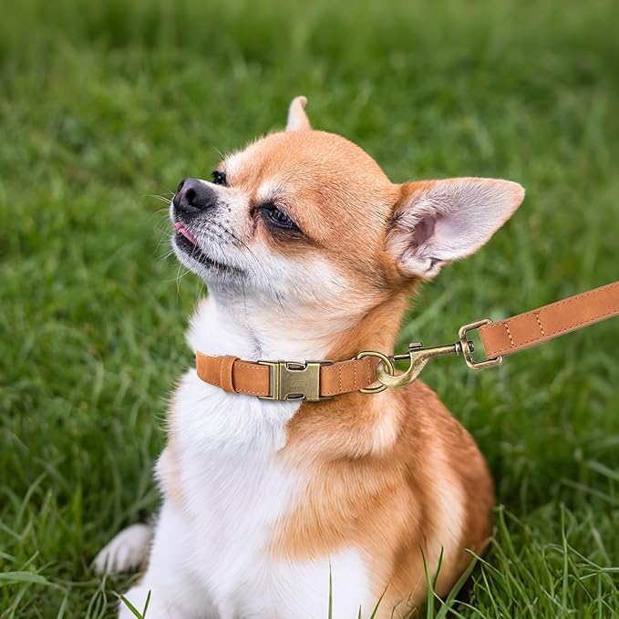 Didog Soft PU Leather Dog Collar, Stylish Quick Released Dog Collars for Small Dogs, Easy Clean Adjustable Pet Collar for Daily Walking, Light Brown, S Fit 10-16" Neck-PawvioPets