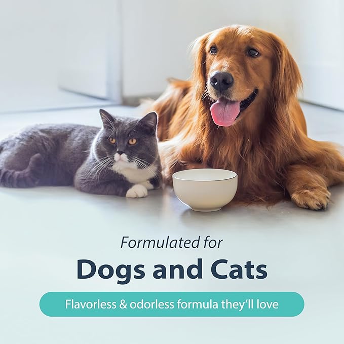 Dental Fresh Water Additive for Dogs, Original Formula, 8oz – Cat & Dog Breath Freshener and Teeth Cleaning for Dental Care for Pets – Add to Water-PawvioPets