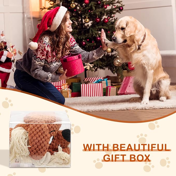 Dog Toys,Squeaky Dog Chew Toy with Crinkle Paper,Interactive Tough Plush Rope Toys for Small Medium Large Dogs with Gift Boxes-PawvioPets