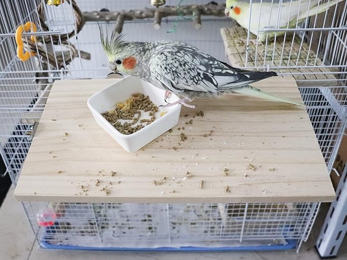 13.6×7.9 Inches Large Bird Perch Stand Platform, Natural Wooden Small Animals Cage Accessories, Rectangle Stand Perch Shelf for Parrot Parakeet Cockatiel Rat Hamster Guinea Pig Conure Chinchillas-PawvioPets