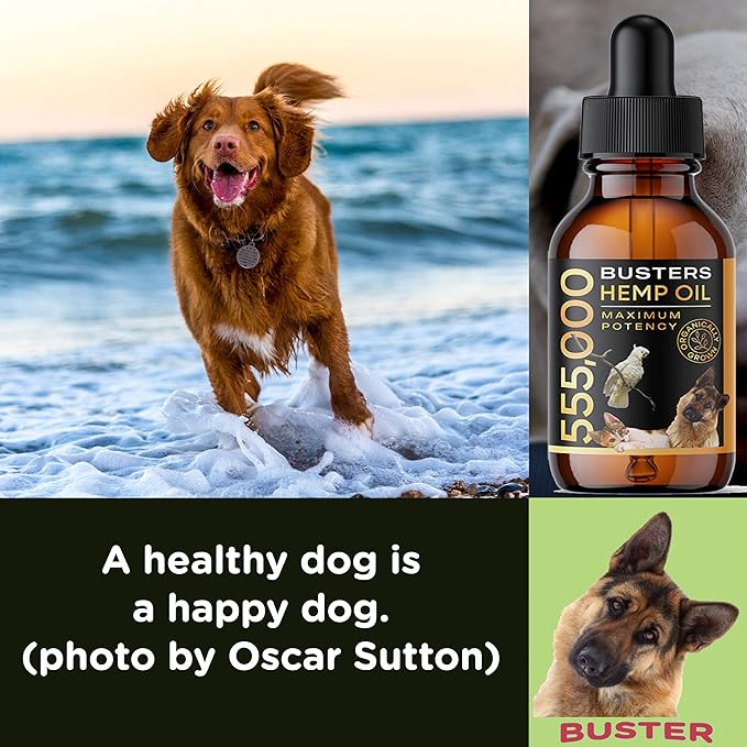 Buster's Organic Hemp Oil 530,000 4Pack-4month Supply for Dogs & Cats - Max Potency - Made in USA - Omega Rich 3, 6 & 9 - Hip & Joint Health, Natural Relief, Calming Drops-PawvioPets