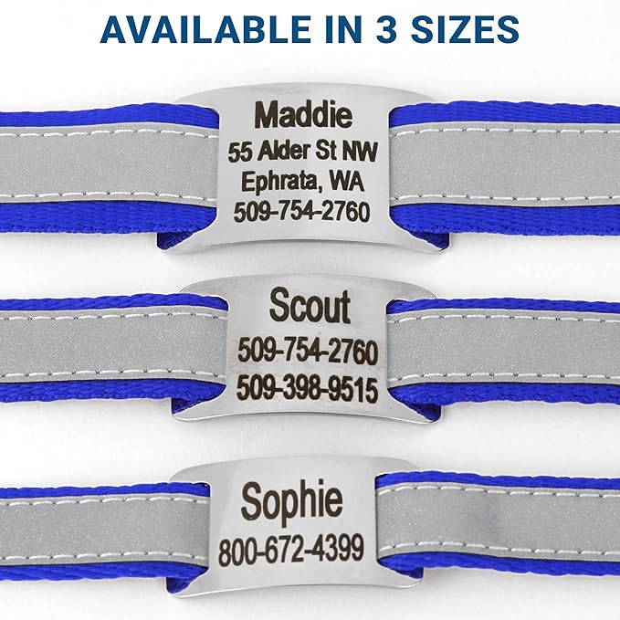 GoTags Reflective Personalized Dog Collar with Nameplate, Adjustable Dog Collar with Custom Engraved Steel Slide On Pet ID Tag, Silent, No Noise Dog Tag for Large Medium or Small (Blue, Large)-PawvioPets